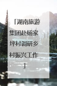 湖南旅游集团赴杨家坪村调研乡村振兴工作