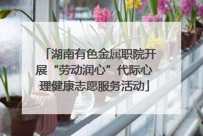 湖南有色金属职院开展“劳动润心”代际心理健康志愿服务活动