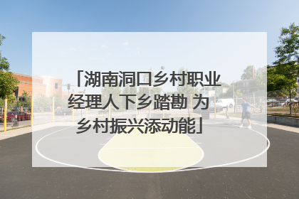 湖南洞口乡村职业经理人下乡踏勘 为乡村振兴添动能