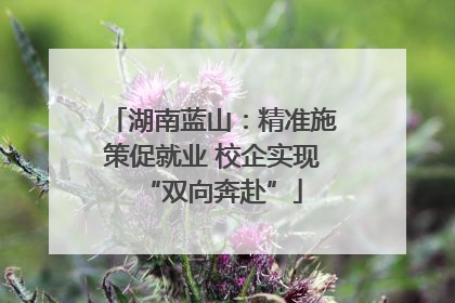 湖南蓝山：精准施策促就业 校企实现“双向奔赴”