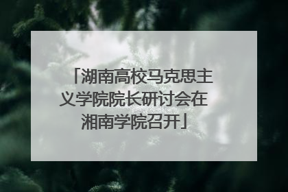 湖南高校马克思主义学院院长研讨会在湘南学院召开