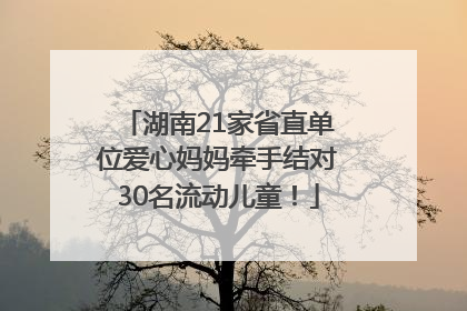 湖南21家省直单位爱心妈妈牵手结对30名流动儿童！