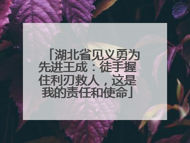 湖北省见义勇为先进王成：徒手握住利刃救人，这是我的责任和使命