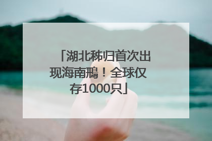 湖北秭归首次出现海南鳽！全球仅存1000只