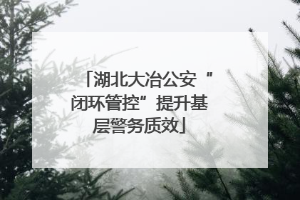 湖北大冶公安“闭环管控”提升基层警务质效