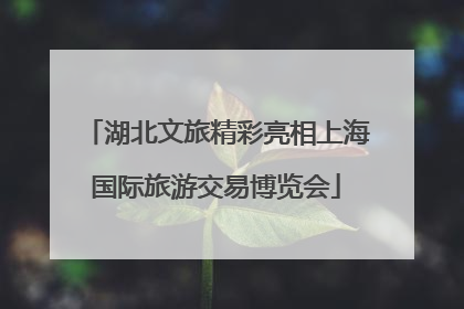 湖北文旅精彩亮相上海国际旅游交易博览会