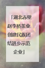湖北赤壁赵李桥茶业创建民族团结进步示范企业