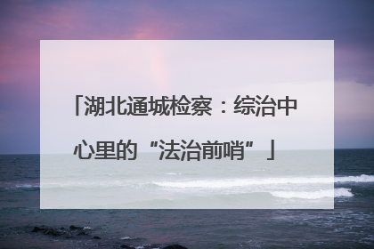 湖北通城检察：综治中心里的“法治前哨”