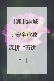 湖北麻城：安全宣教深耕“五进”
