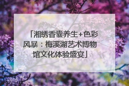 湘绣香囊养生+色彩风暴：梅溪湖艺术博物馆文化体验盛宴