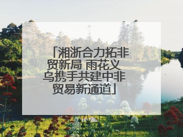 湘浙合力拓非贸新局 雨花义乌携手共建中非贸易新通道