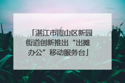 湛江市霞山区新园街道创新推出“出摊办公”移动服务台