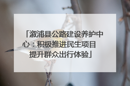 溆浦县公路建设养护中心：积极推进民生项目 提升群众出行体验