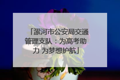 漯河市公安局交通管理支队：为高考助力 为梦想护航