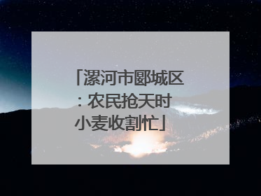 漯河市郾城区：农民抢天时 小麦收割忙