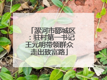 漯河市郾城区：驻村第一书记王元明带领群众走出致富路