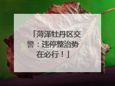 菏泽牡丹区交警：违停整治势在必行！