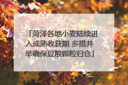 菏泽各地小麦陆续进入成熟收获期 多措并举确保夏粮颗粒归仓