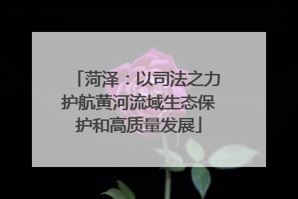 菏泽：以司法之力护航黄河流域生态保护和高质量发展