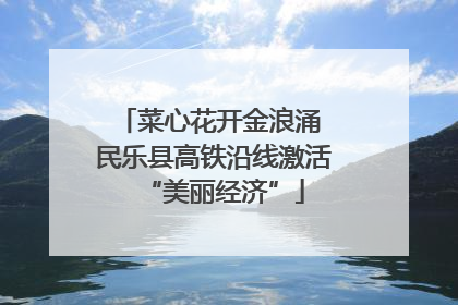 菜心花开金浪涌 民乐县高铁沿线激活“美丽经济”