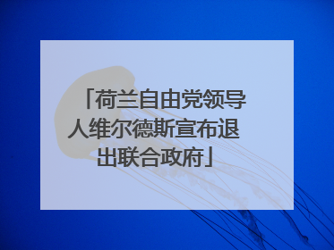 荷兰自由党领导人维尔德斯宣布退出联合政府