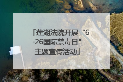 莲湖法院开展“6·26国际禁毒日”主题宣传活动