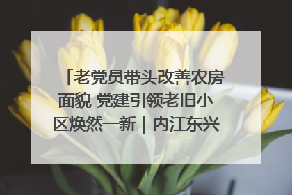 老党员带头改善农房面貌 党建引领老旧小区焕然一新｜内江东兴“红”在哪？④