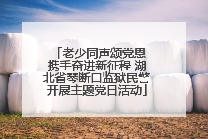 老少同声颂党恩 携手奋进新征程 湖北省琴断口监狱民警开展主题党日活动