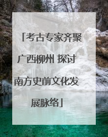 考古专家齐聚广西柳州 探讨南方史前文化发展脉络