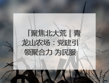 聚焦北大荒｜青龙山农场：党建引领聚合力 为民服务践初心