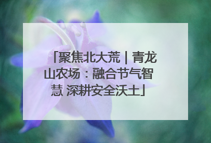 聚焦北大荒｜青龙山农场：融合节气智慧 深耕安全沃土