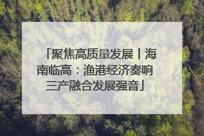 聚焦高质量发展丨海南临高：渔港经济奏响三产融合发展强音