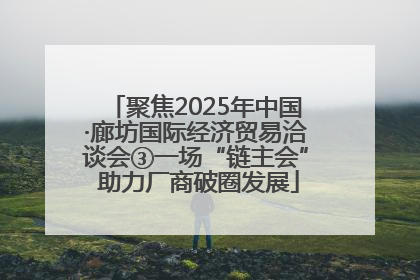 聚焦2025年中国·廊坊国际经济贸易洽谈会③一场“链主会” 助力厂商破圈发展