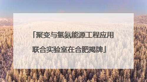 聚变与氢氨能源工程应用联合实验室在合肥揭牌