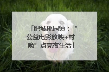 肥城桃园镇：“公益电影放映+村晚”点亮夜生活
