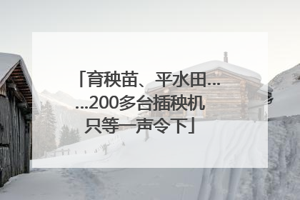 育秧苗、平水田……200多台插秧机只等一声令下
