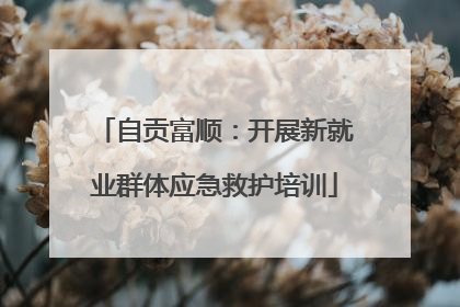 自贡富顺：开展新就业群体应急救护培训