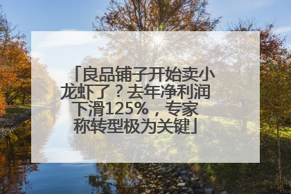 良品铺子开始卖小龙虾了？去年净利润下滑125%，专家称转型极为关键