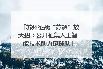 苏州征战“苏超”放大招：公开征集人工智能技术助力足球队