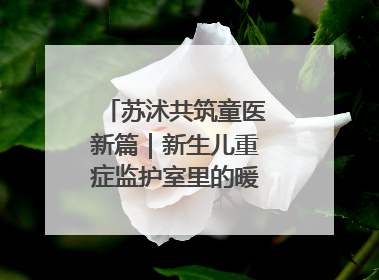 苏沭共筑童医新篇｜新生儿重症监护室里的暖心“袋鼠抱”