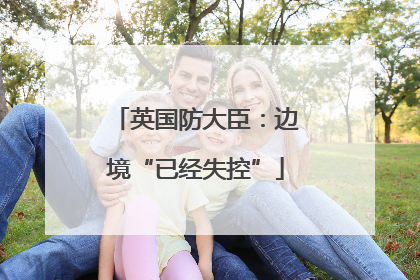英国防大臣：边境“已经失控”