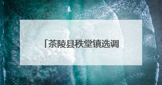 茶陵县秩堂镇选调生联合多部门开展安全宣讲进校园活动