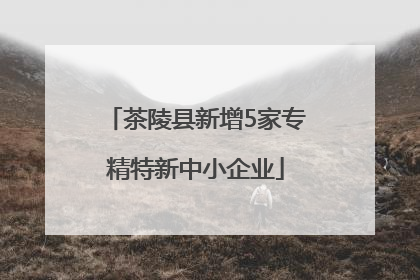 茶陵县新增5家专精特新中小企业