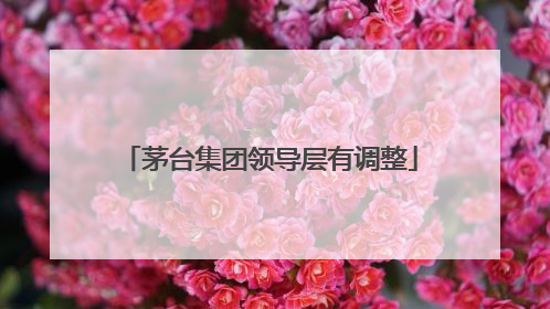 茅台集团领导层有调整