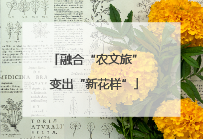 融合“农文旅” 变出“新花样”