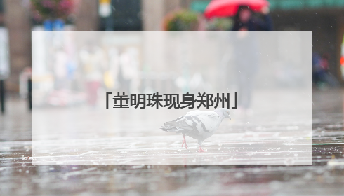 董明珠现身郑州