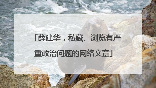 薛建华，私藏、浏览有严重政治问题的网络文章