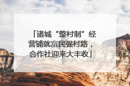 诸城“整村制”经营铺就富民强村路，合作社迎来大丰收