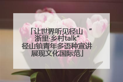 让世界听见径山 “浙里·乡村talk”径山镇青年多语种宣讲展现文化国际范