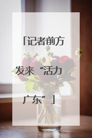 记者前方发来“活力广东”